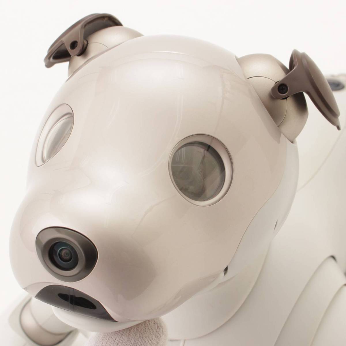 ソニー アイボ  犬 ペットロボット  ホワイト