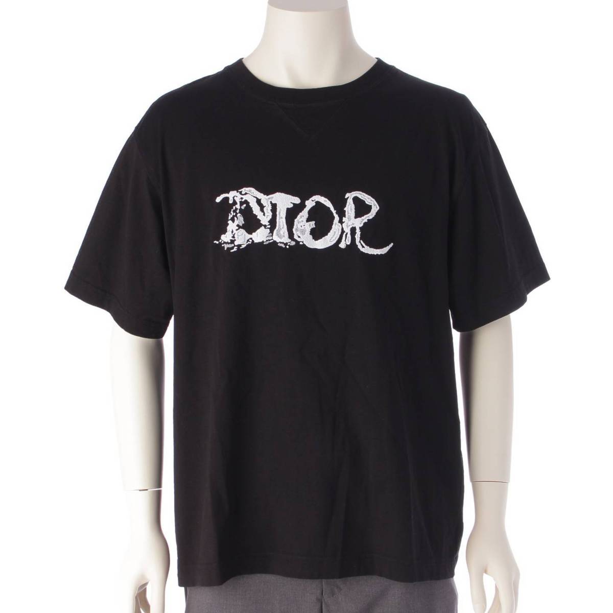 ディオール DIOR メンズ 21AW Peter Doig ピーター ドイグ ロゴ コットン Tシャツ ブラック XL